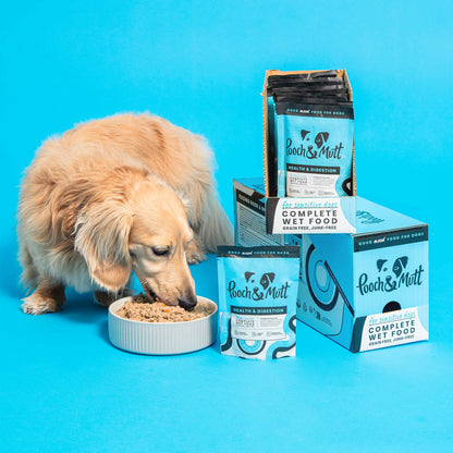Health & Digestion Complete Wet Dog Food Turkey & Herring 12 x 150g
