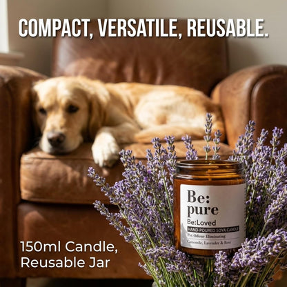 Be:Loved - Be:Pure Pet & Dog Odour Eliminating Scented Candle - Natural Soy & Beeswax with Lavender & Camomile - Soy Candle, Candle Gift - 150ml, 30 Hours Burn Time