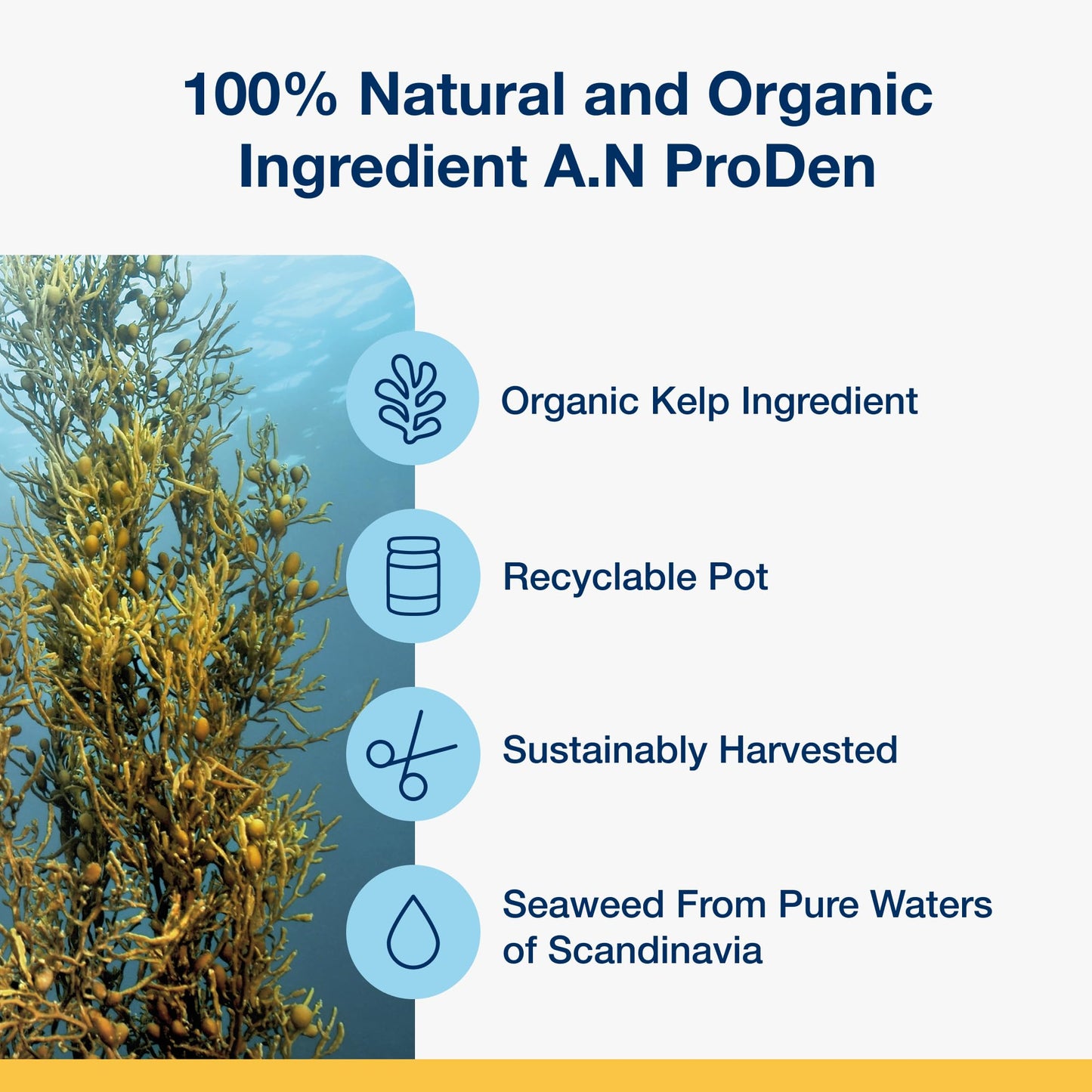 ProDen PlaqueOff Powder for Dogs & Cats, Tartar & Bad Breath Remover with 100% Natural Teeth Plaque Remover 180 g