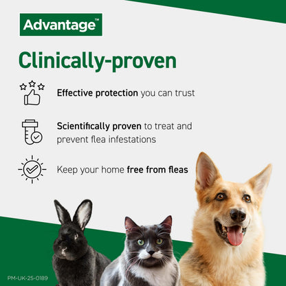 Flea Spot On Treatment for Dogs 10-25kg 1 Pipette