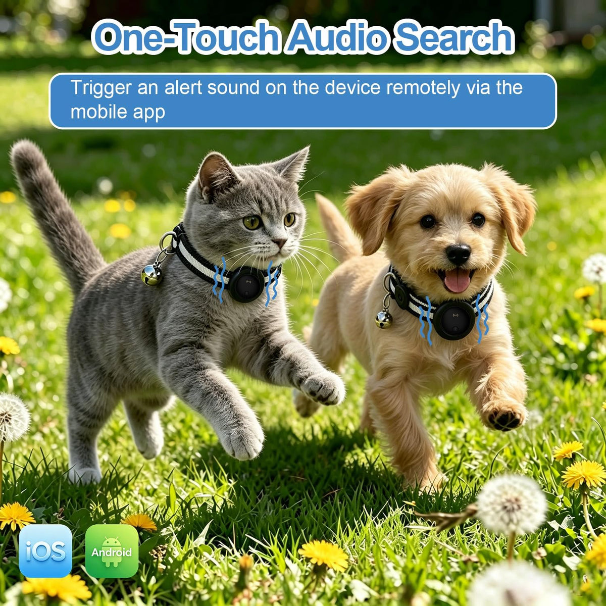 2-in-1 Cat & Dog Tracker Collar