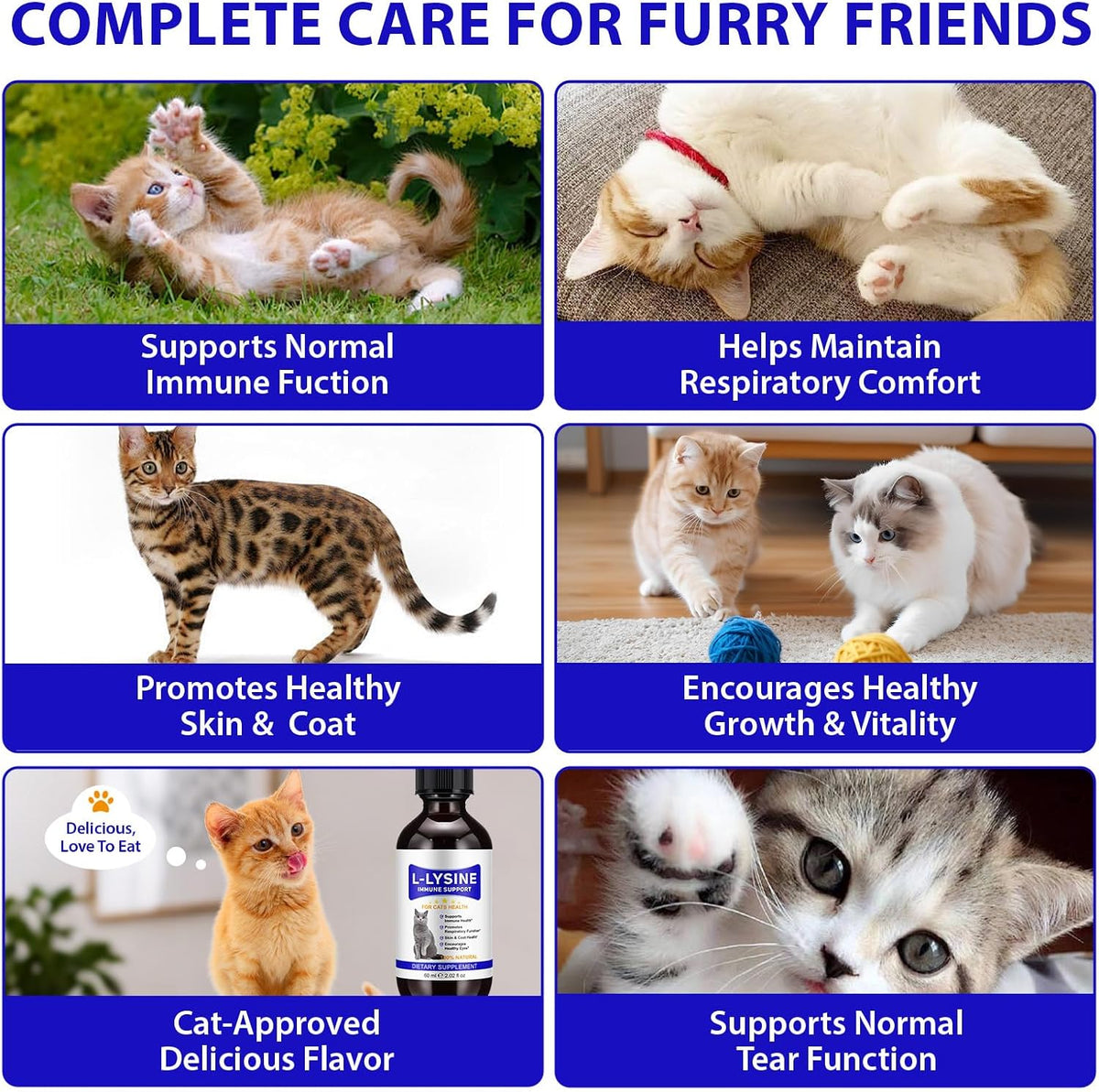 Lysine for Cats, L-Lysine Supplement Liquid Drops for Cats Supports Immune & Respiratory Health,Helps with Sneezing, Eye Discharge and Watery Eyes