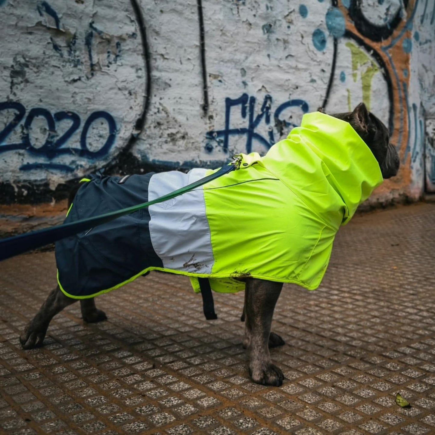 Spark Paws Dog Raincoat, Waterproof Windproof Rain Jacket, For Small Medium Large Extra Large Dogs, Reflective Breathable Full-body Coverage Dry Suit - Sea Pink, 2XL