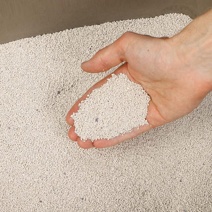Super Clumping Cat Litter with Activated Carbon 10L