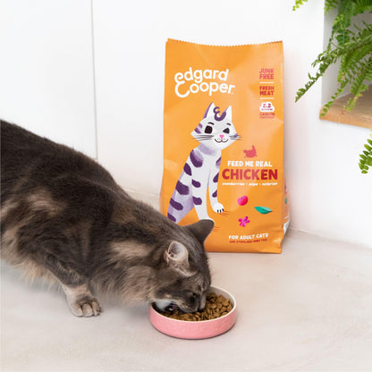 Grain Free Adult Dry Cat Food Chicken 2kg