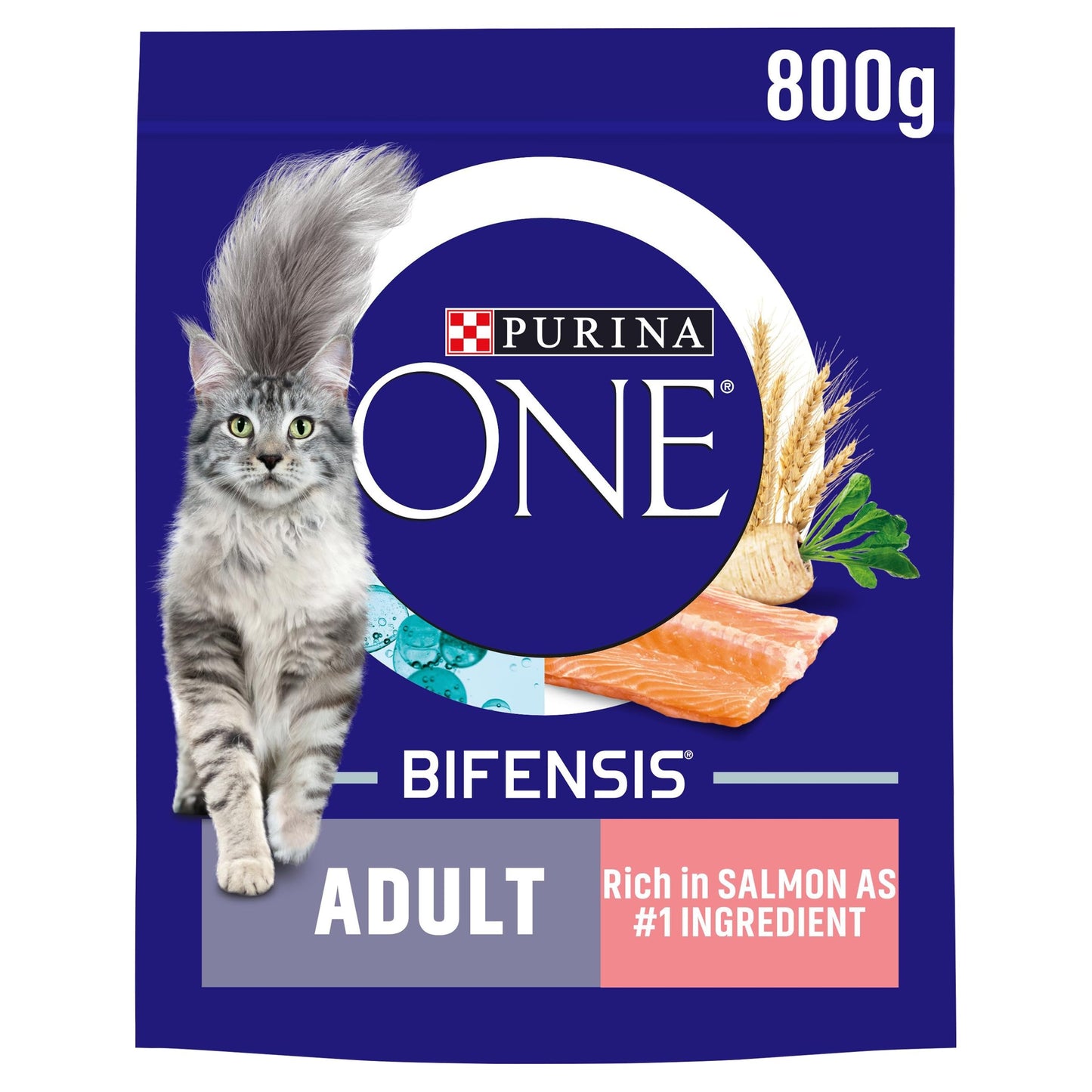 PURINA ONE Dry Cat Food