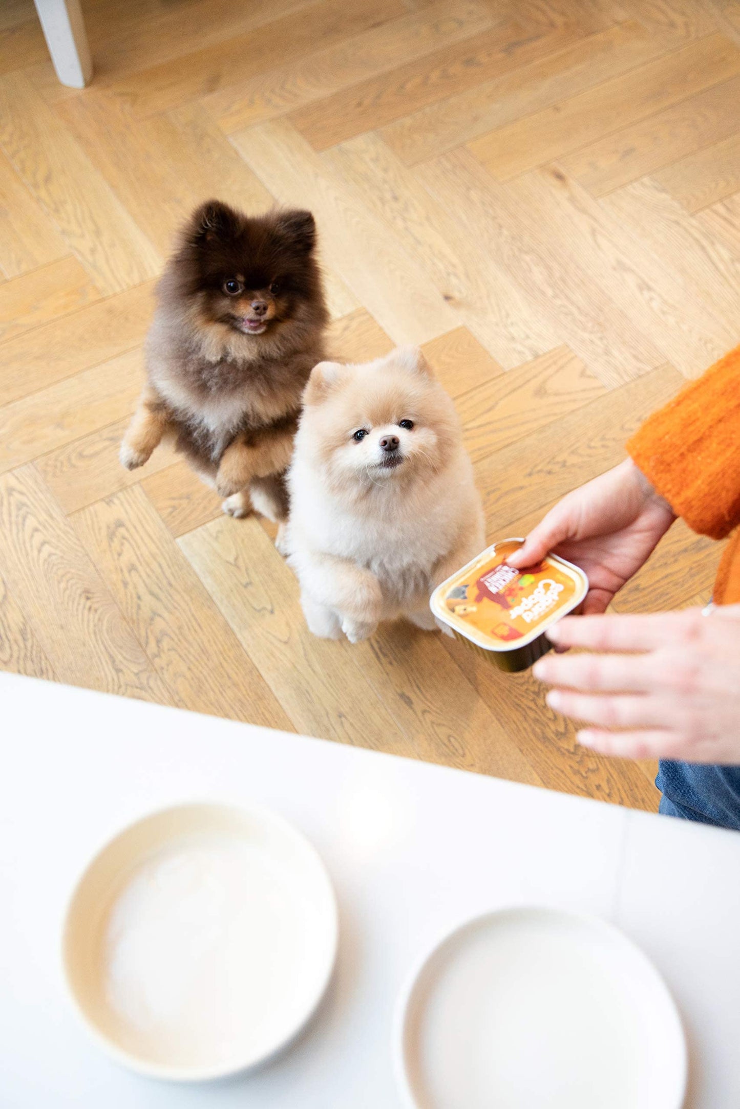 Edgard Cooper Grain-Free Wet Dog Food for Adult Dogs, (11 x 150g), Natural Dogs Food in Cup with Fresh Meat & Amino Acids, Gluten-Free, High Protein