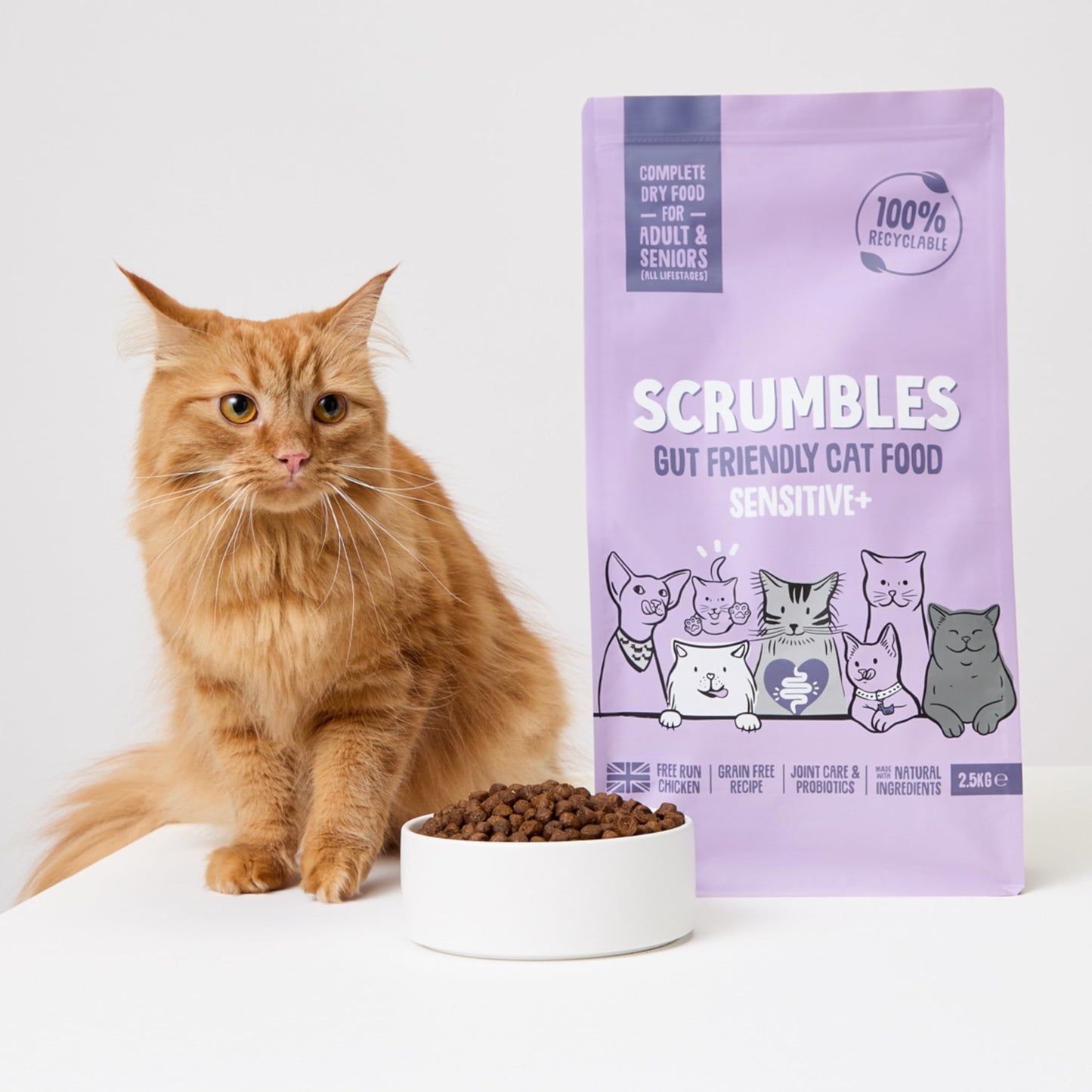 Scrumbles All Natural Dry Cat Food With 75% Chicken and Fresh Salmon, High Protein Food for Adults And Seniors