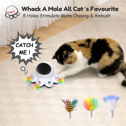 2-in-1 Interactive Automatic Cat Toy