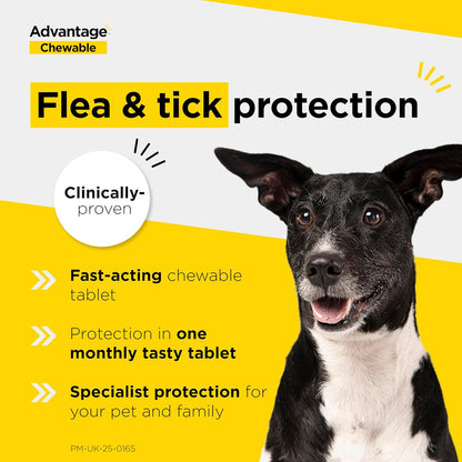 Chewable Flea & Tick Treatment Tablets for Dogs 2.5-5.5kg 3 Pack