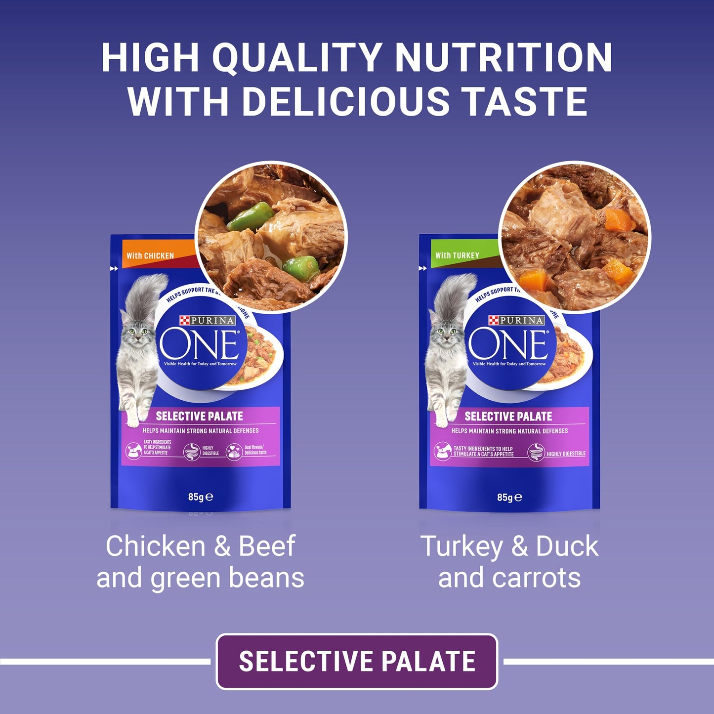 PURINA ONE Adult Cat Food Mini Fillets in Gravy 40 x 85g