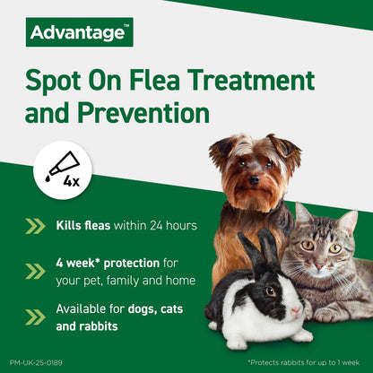 Flea Spot On Treatment for Dogs 10-25kg 1 Pipette
