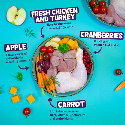 Grain-Free Wet Dog Food for Adult Dogs 11 x 150g