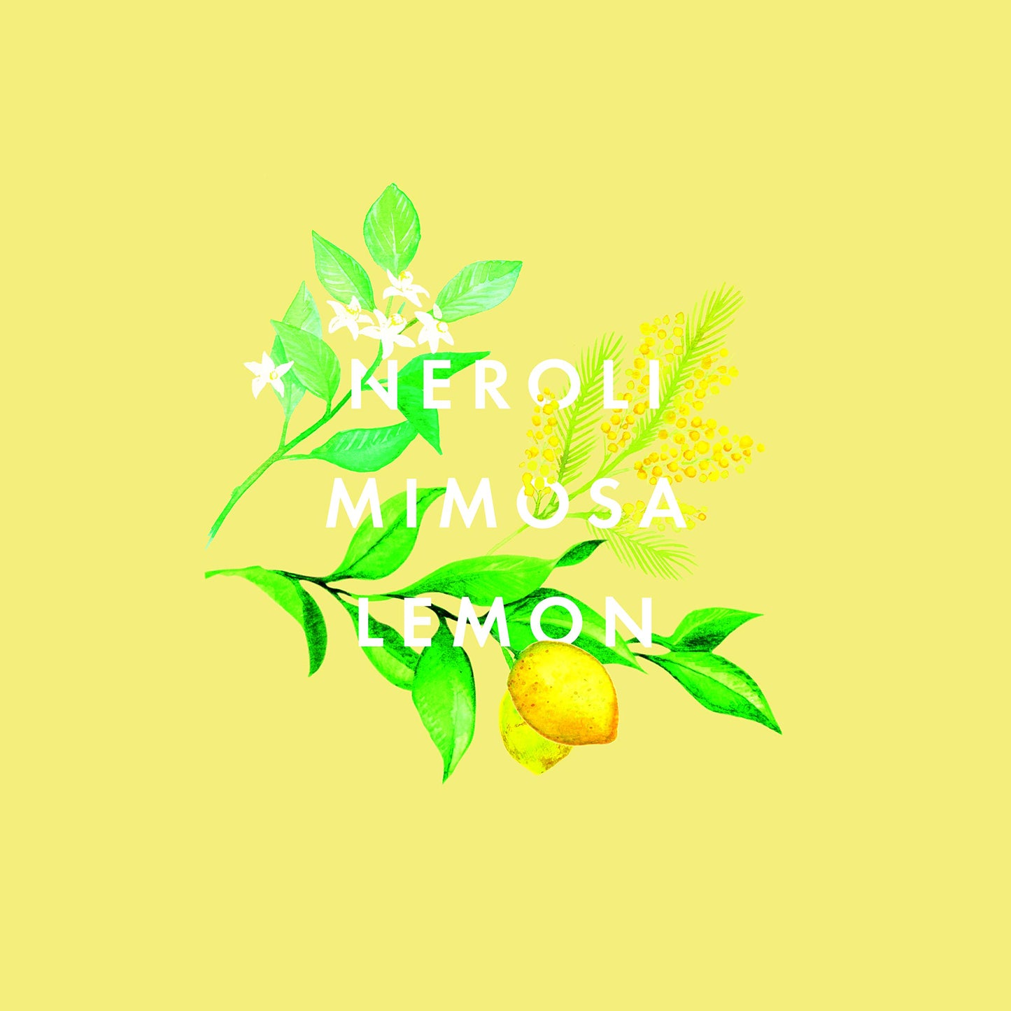 NEOM - Real Luxury Essential Oil Blend, 10ml | Lavender, Jasmine & Sandalwood | Scent to De-Stress Range