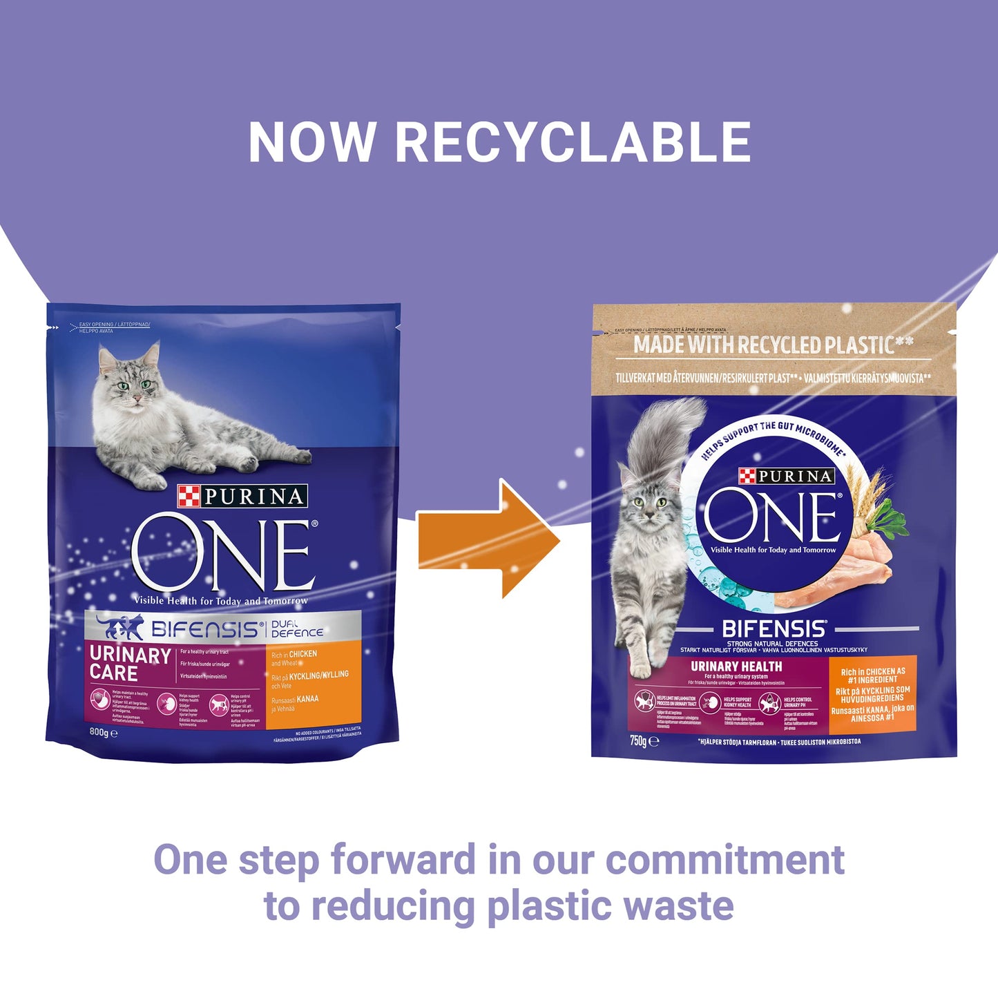 PURINA ONE Dry Cat Food