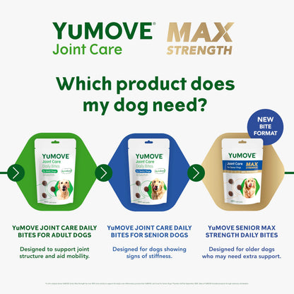 Max Strength Joint Supplement for Senior Dogs 60 Chews