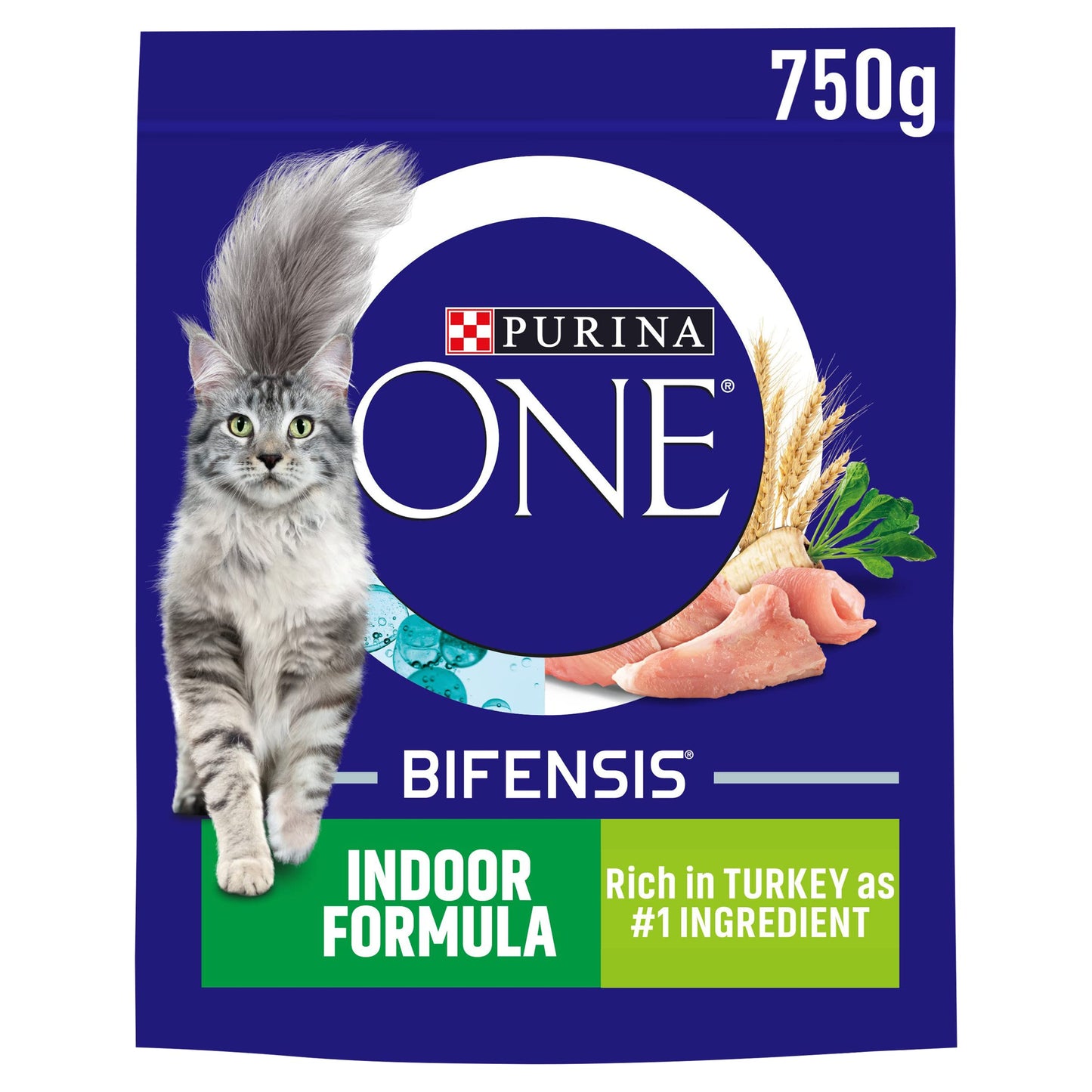 PURINA ONE Dry Cat Food