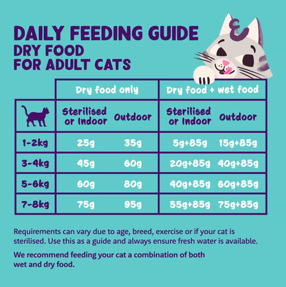 Grain Free Adult Dry Cat Food Chicken 2kg