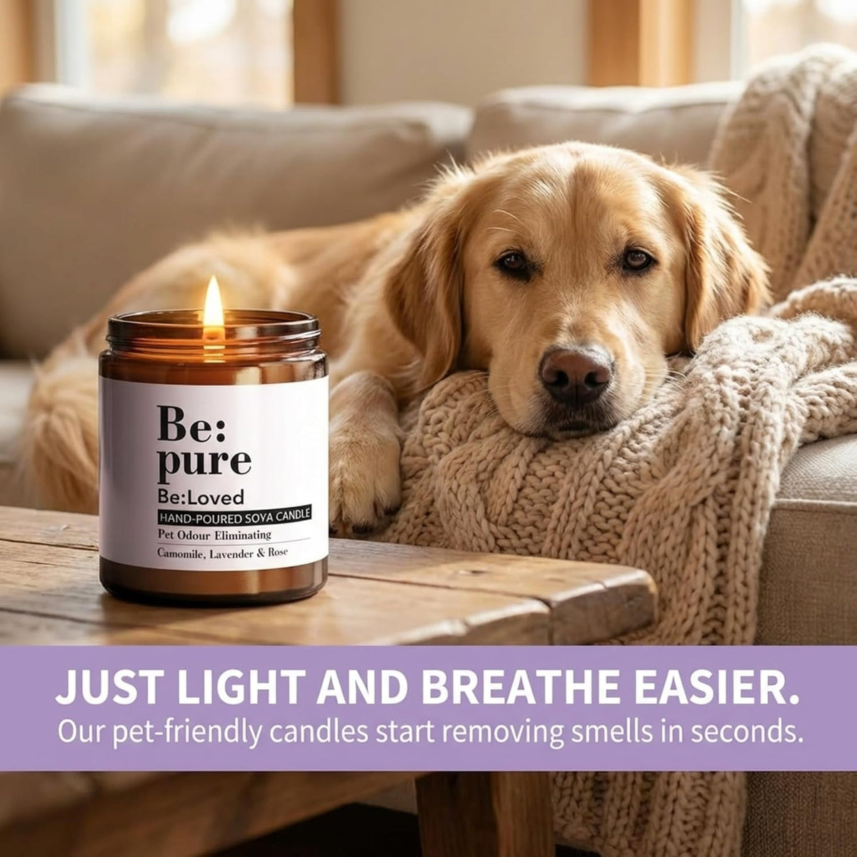 Be:Loved - Be:Pure Pet & Dog Odour Eliminating Scented Candle - Natural Soy & Beeswax with Lavender & Camomile - Soy Candle, Candle Gift - 150ml, 30 Hours Burn Time