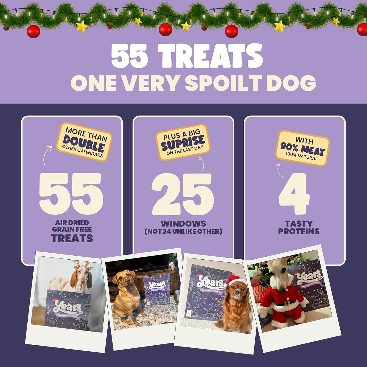 YEARS Extra Large Dog Advent Calendar 2026-55 Air Dried Grain Free Treats