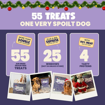 YEARS Extra Large Dog Advent Calendar 2026-55 Air Dried Grain Free Treats