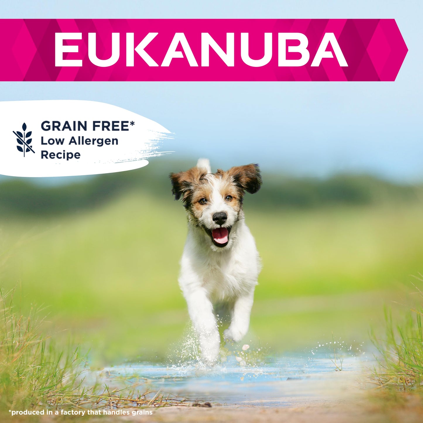 Eukanuba Grain Free Complete Dry Dog Food for Puppy Small and Medium Breeds