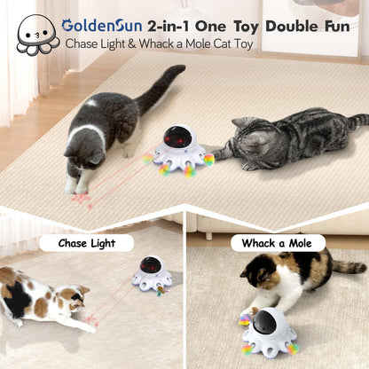 2-in-1 Interactive Automatic Cat Toy