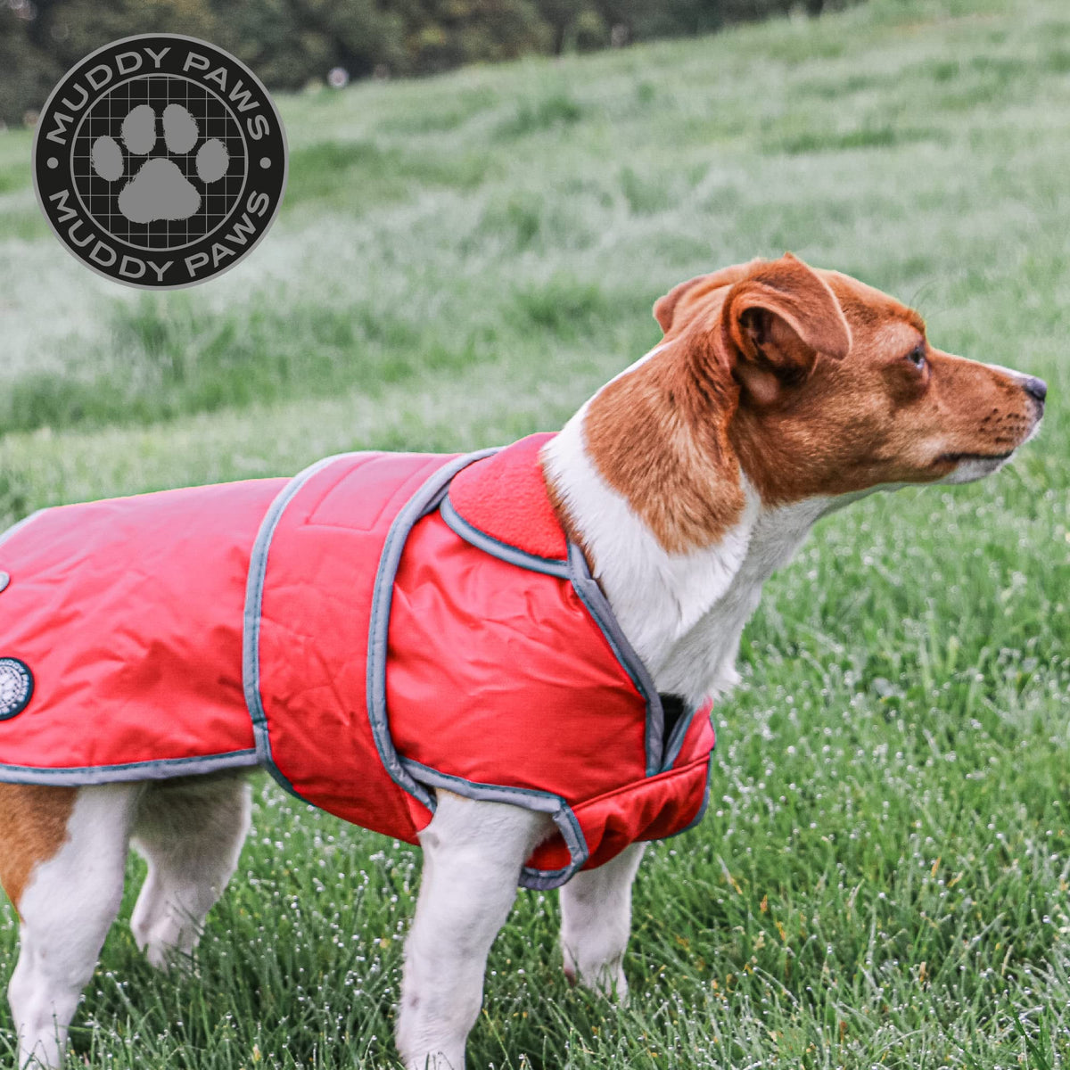 Ancol Muddy Paws All Weather Stormguard Coat . Poppy Red.Size Large ( Length 50cm, up to 79cm girth)