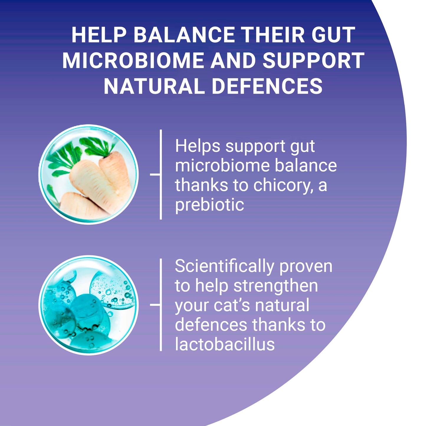 PURINA ONE | Dry Cat Food