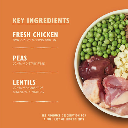 Natural Ingredients Adult Dry Dog Food Balanced Recipe