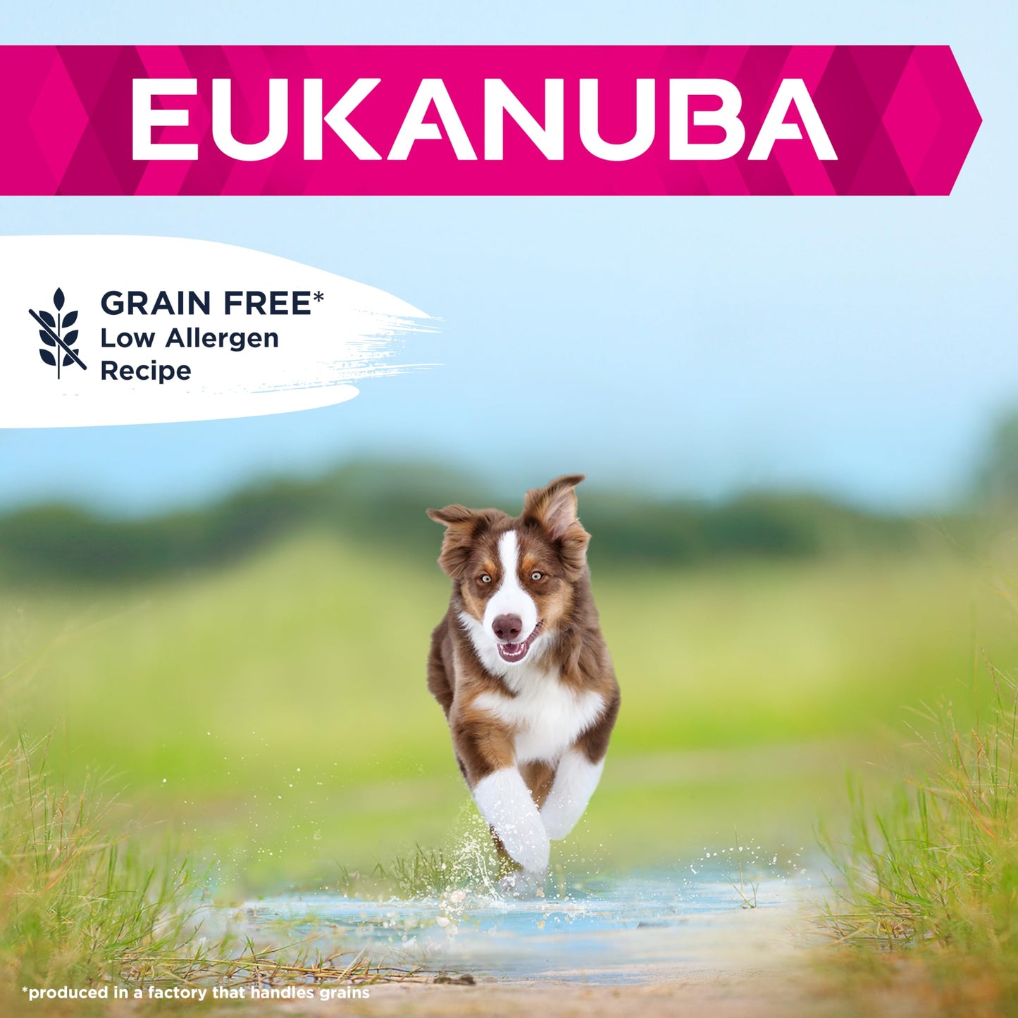 Eukanuba Grain Free Complete Dry Dog Food for Puppy Small and Medium Breeds