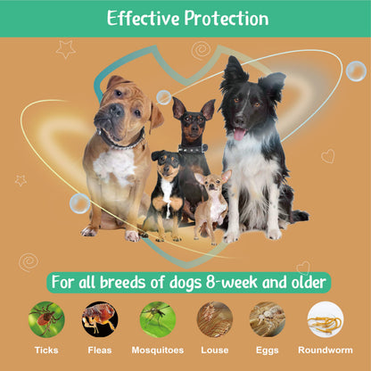 Natural Spot On Flea & Tick Treatment for Medium Dogs 3 Pipettes
