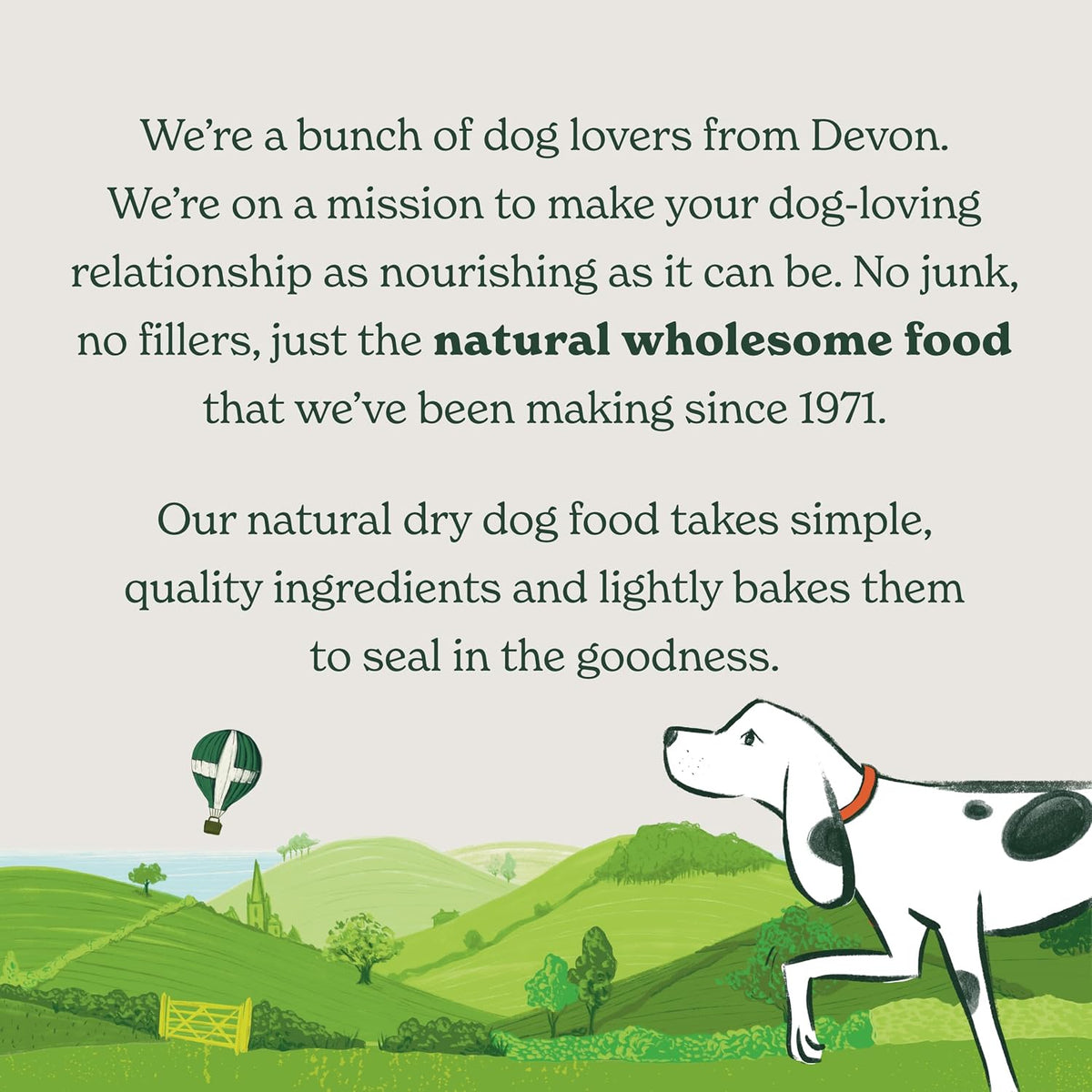 Forthglade Dry Dog Food, Lightly Baked, (6kg), Hypoallergenic and Grain Free Dog Food, Adult 1 Year +, Chicken With Sweet Potato, Complete and Balanced Meal, 50% Single Source Protein
