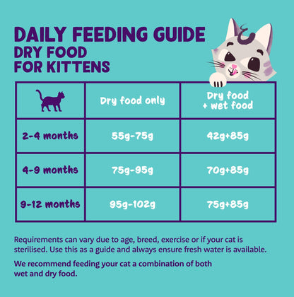 Grain Free Adult Dry Cat Food Chicken 2kg
