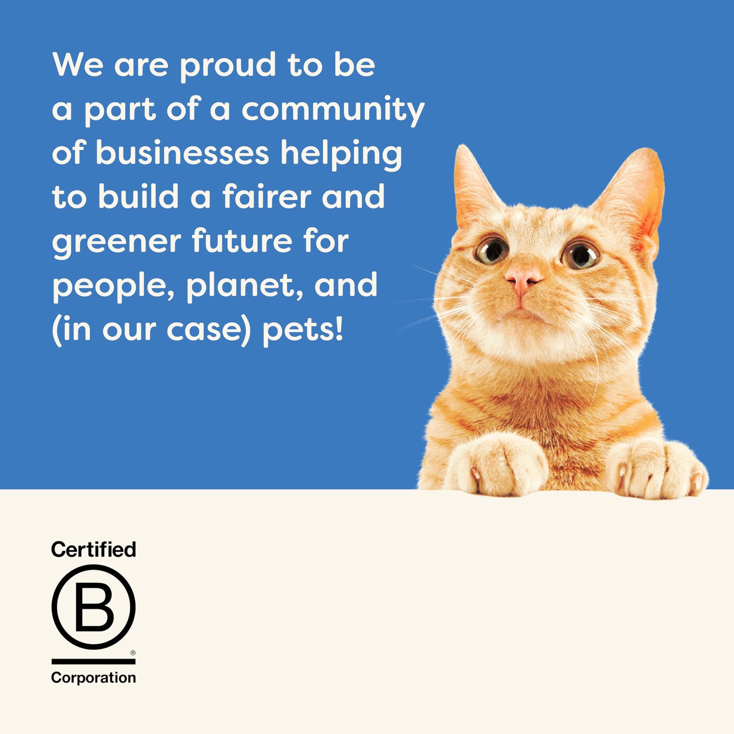 Applaws 100% Natural Wet Cat Food, Pouch Multipack Tuna Selection in Broth, 70 g (12 x 70 g Pouches)