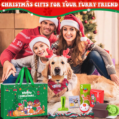 iZoeL Cat Advent Calendar 2026 Christmas Interactive Toys Indoor Cat Lover