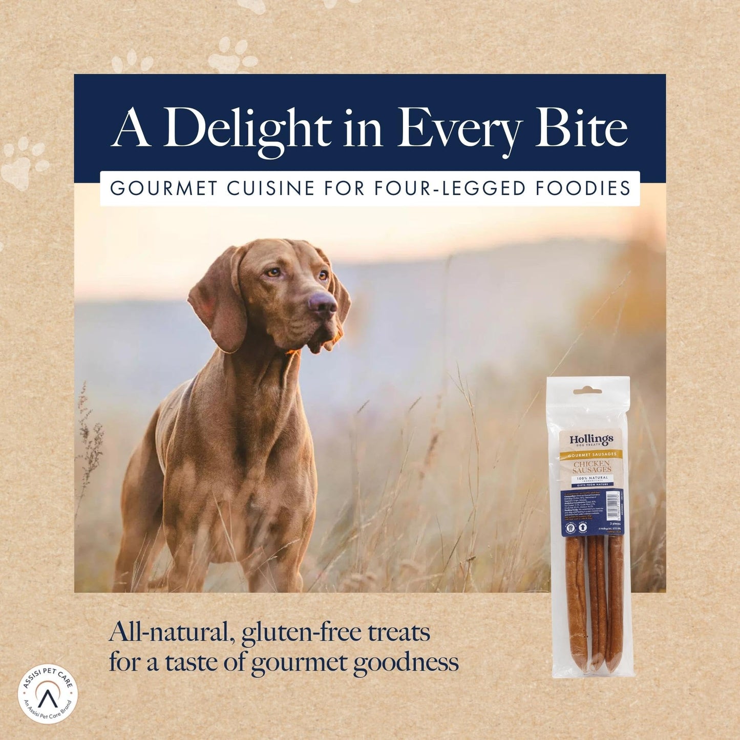 Hollings Chicken Sausages Dog Treats, Delicious, Nutritious Air Dried Chews for Adult Dogs, Made with 100% Natural Ingredients (Pack of 3)