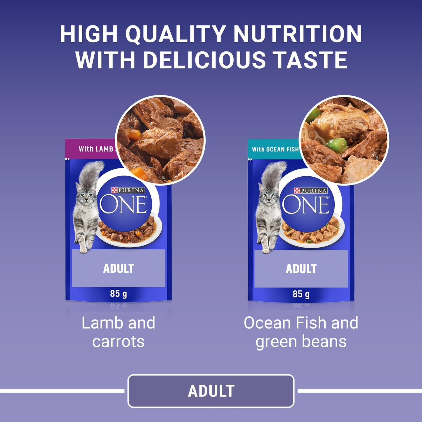 PURINA ONE Adult Cat Food Mini Fillets in Gravy 40 x 85g