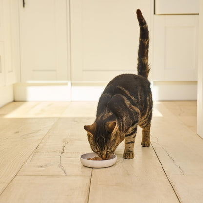 Smooth Paté Selection Adult Cat Food 4 x (8 x 85g)