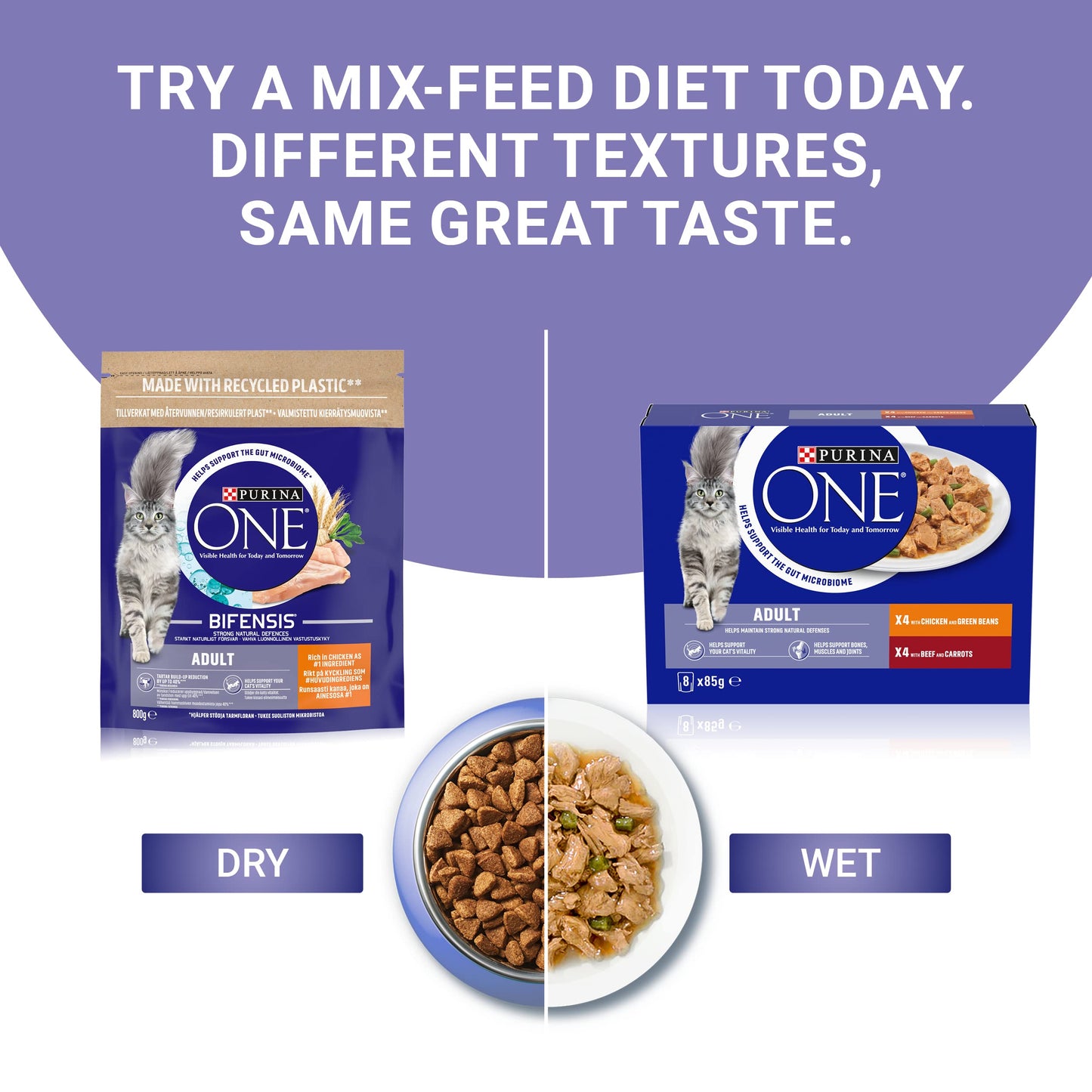 PURINA ONE Adult Cat Food Mini Fillets in Gravy 40 x 85g