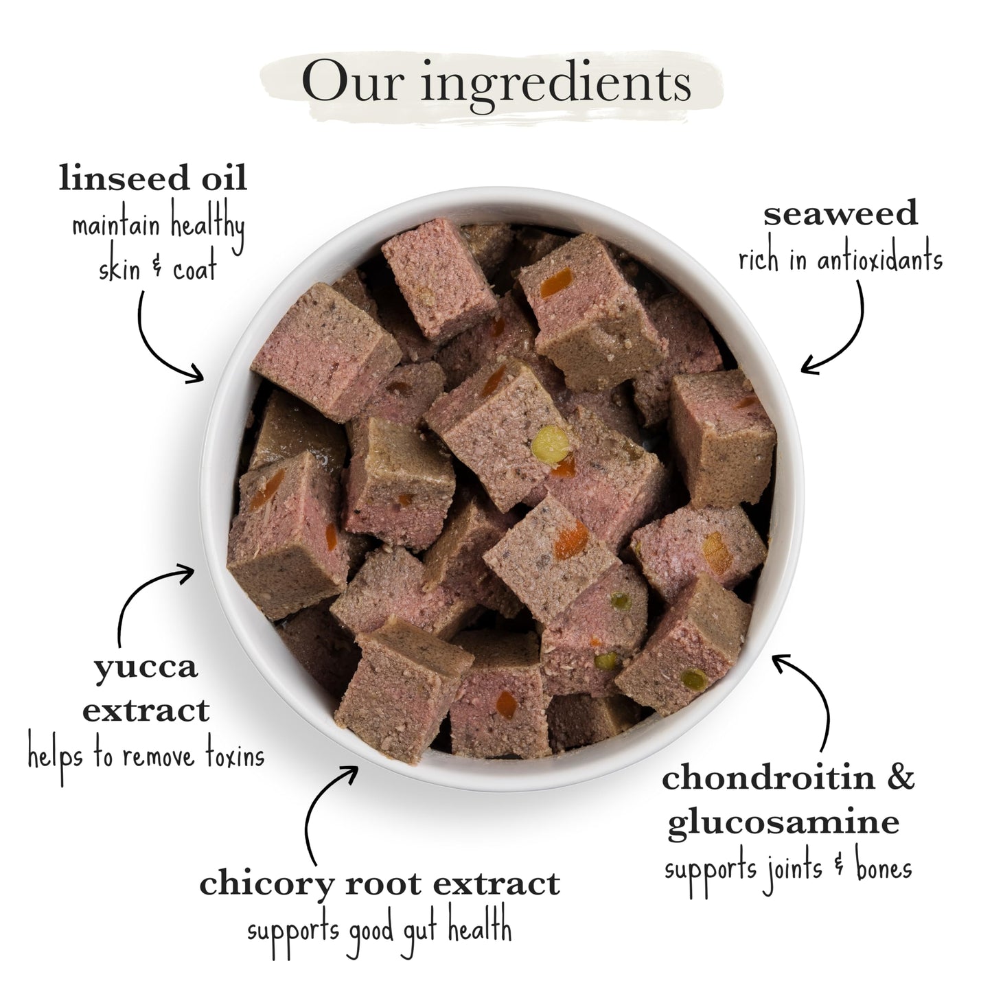 Forthglade Wet Dog Food Variety Pack - Small Dogs Grain Free, Hypoallergenic, Stomach Sensitive, Natural Ingredients, Chicken & Lamb with Veg