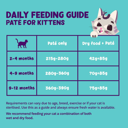 Grain Free Wet Cat Food Paté Salmon & Chicken 16 x 85g