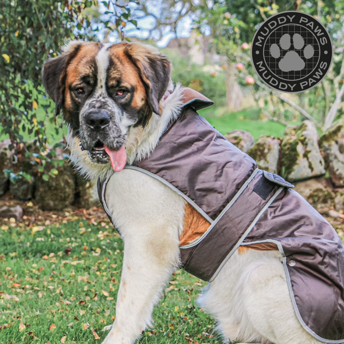 Ancol Muddy Paws All Weather Stormguard Coat . Poppy Red.Size Large ( Length 50cm, up to 79cm girth)