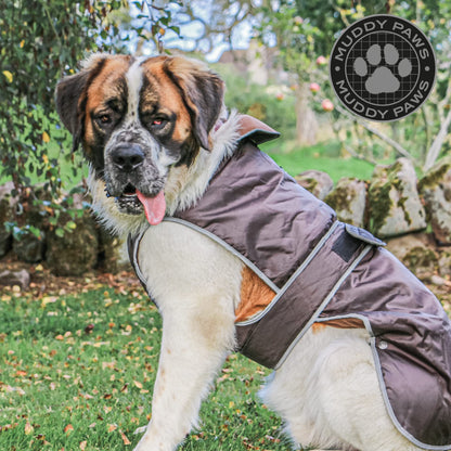 Ancol Muddy Paws All Weather Stormguard Coat . Poppy Red.Size Large ( Length 50cm, up to 79cm girth)
