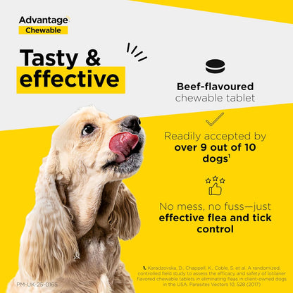 Chewable Flea & Tick Treatment Tablets for Dogs 2.5-5.5kg 3 Pack