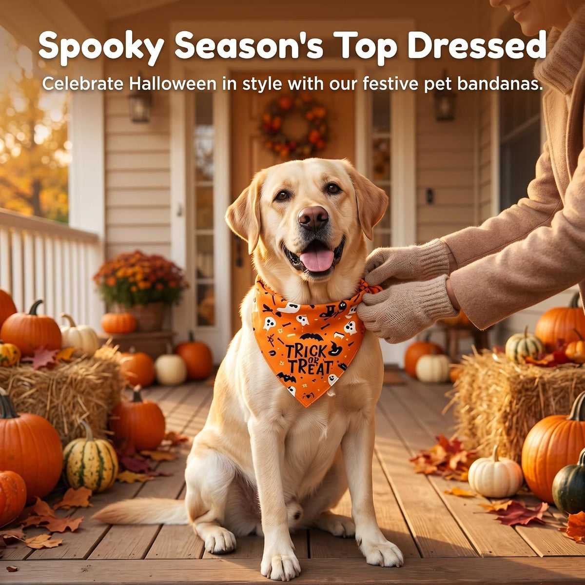 2Pcs Dog Halloween Costume, Pet Triangle Bandana, Black Orange Pumpkin Ghost Print Soft Bandanas, for Large Medium Small Dogs Cats, Halloween Cosplay Party Costumes, Holiday Photo Accessories