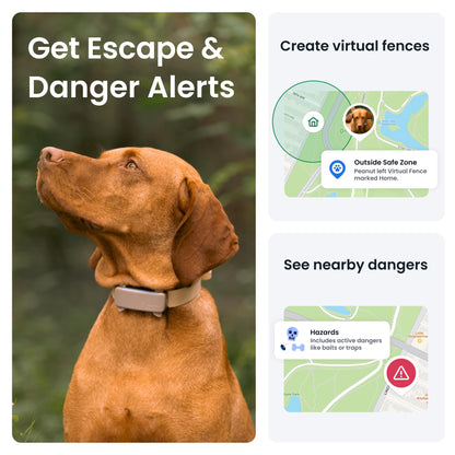 Smart Dog Tracker