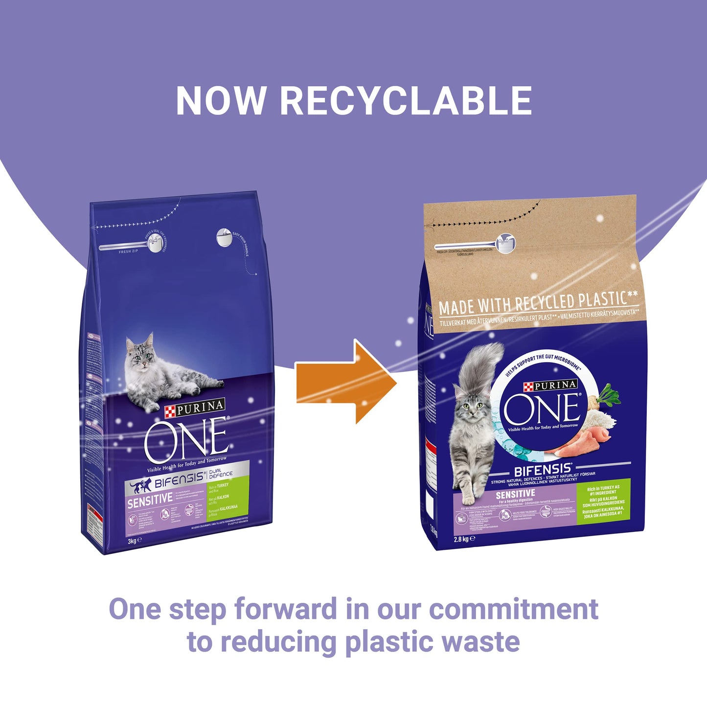 PURINA ONE Dry Cat Food