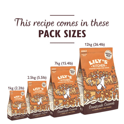 Natural Ingredients Adult Dry Dog Food Balanced Recipe