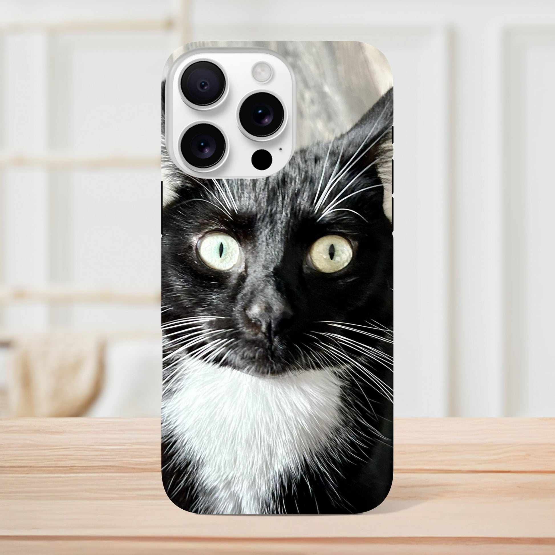 88e7c742-1ce4-451c-8562-2d82ced02fca